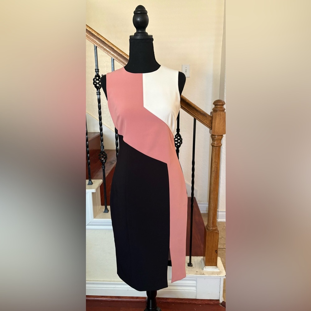 White House Black Market Dress in Pink, Black, and White